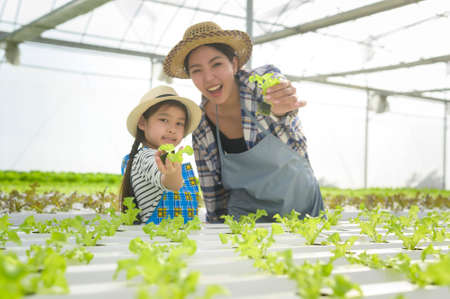 Happy farmer mom and daughter working in hydroponic greenhouse farm, clean food and healthy eating conceptの写真素材