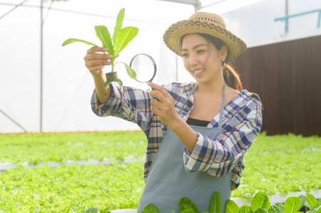 A young female farmer working in hydroponic greenhouse farm, clean food and healthy eating conceptの写真素材
