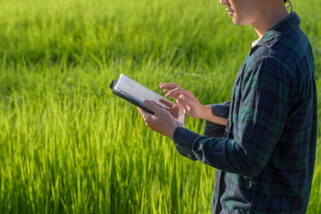 A young female smart farmer with tablet on field,High technology innovations and smart farmingの写真素材