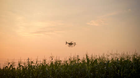 Agriculture drone flying and spraying fertilizer and pesticide over farmland,High technology innovations and smart farmingの写真素材