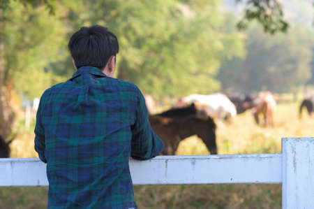 A young farmer with  horses in pasture, Country summer landscape.