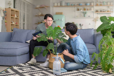 Young smiling gay couple taking care of houseplant in the living room at home, LGBTQ and diversity concept.の写真素材