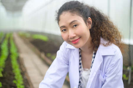 An Asian female agronomist working in a greenhouse,  organic vegetable and agriculture conceptの写真素材