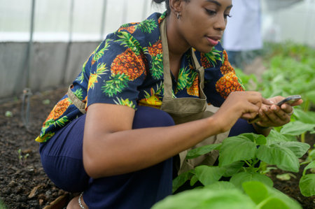 A Black female agronomist working in a greenhouse,  organic vegetable and agriculture conceptの写真素材