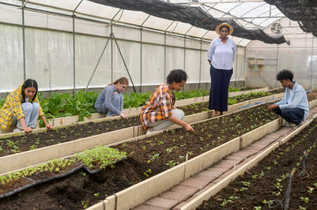 Group of mixed race students and teacher learning agriculture  technology in smart farming ,...