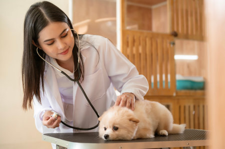 A Young female veterinarian with stethoscope examining dog in vet clinic
