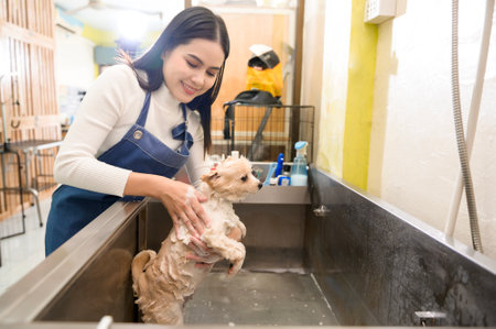 A Female professional groomer bathing dog at pet spa grooming salonの写真素材