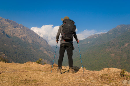 A young traveller trekking on forest trail , Nepalの写真素材
