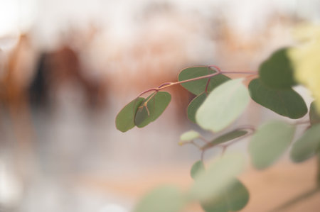 wedding backdrop with flower and wedding decorationの写真素材