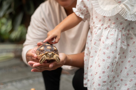 African American mother holding turtle on  her hand showing to a  girl in gardenの写真素材
