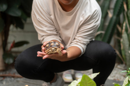 African American mother holding turtle on  her hand showing to a  girl in gardenの写真素材