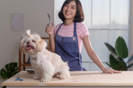 Female professional groomer trimming haircut and combing dog fur at pet spa grooming salonの写真素材