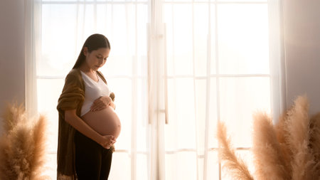 Pregnant woman silhouette at sunsetの写真素材