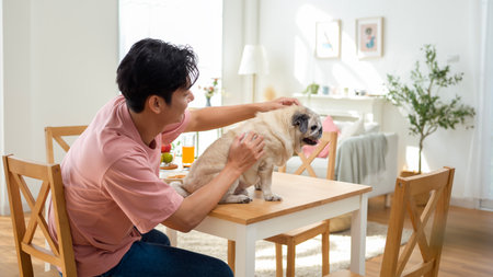 A man enjoys playful moments with his pug dog in a cheerful kitchen setting.の写真素材
