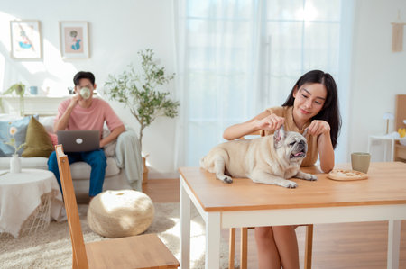 A young couple relaxes on a sofa with their dog, sharing joyful moments in a bright living space.の写真素材