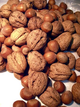 A group of walnuts and hazelnuts.の写真素材