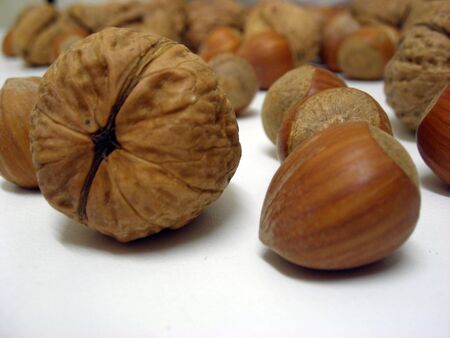 Close-up of a walnut and a hazel nut surronded by some other nuts.の写真素材