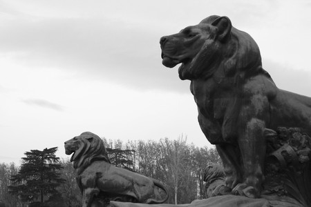 View two lions protecting the Spanish King Alfonso XII Monument at the Retiro Gardens in Madrid.の写真素材