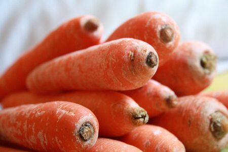 Groups of carrotsの写真素材