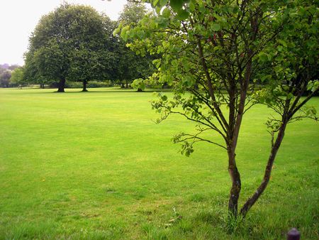View of a beautiful meadow at Winchester, England.の写真素材