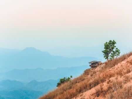 beautiful nature of the hills with golden grass and mountain range in the morning in Tak, Thailand.