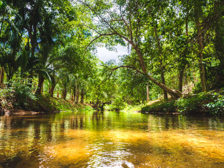 Beautiful landscape of mountain stream in the forest at Suan Phueng, Ratchaburi, Thailand.の写真素材