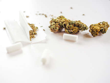 Marijuana and translucent roll paper with filters for making marijuana cigarettes. Studio shot on white background.の写真素材