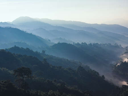 beautiful landscape nature of rain forest and mountain. abundance evergreen forest and foggy. tropical forest of thailand.の写真素材