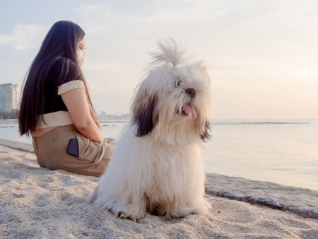 Young asian woman sitting with her fluffy puppy on the beach at Pattaya. New Normal lifestyle.の写真素材