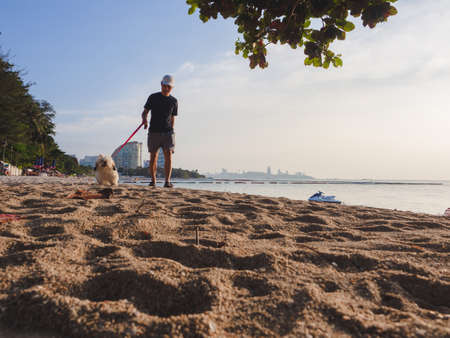 Silhouette of a young man walking his dog on the beach at sunset.の写真素材