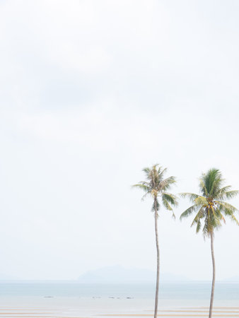 sea and sky during the rainy seasonの写真素材