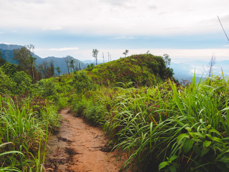 Trail at Phu Soi Dao National Park in Thailand, surrounded by lush greenery and rolling hills under a partly cloudy sky. Dirt path meanders through the vibrant landscape.の写真素材
