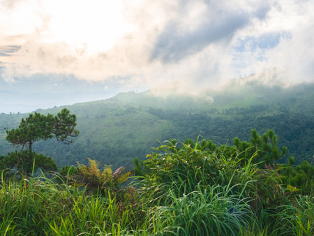 Natural beauty of the sunset over the lush mountains in Phu Soi Dao National Park, Thailand.の写真素材