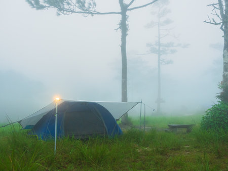 Camping with tent on lush green grass in foggy morning at Phu Soi Dao, Thailand.の写真素材