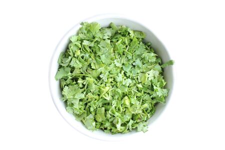 coriander isolated on white background,