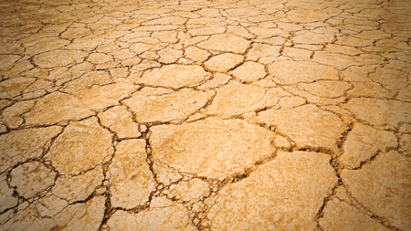 cracked dirty ground texture