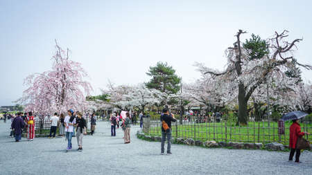 ARASHIYAMA, Kyoto ,Japan - APRIL 2,2018 : ArashiyamaÂ is Kyoto's second-most important sightseeing district. It's filled with temples, shrines and the famedÂ ArashiyamaÂ Bamboo Grove in Arashiyama, Kyoto, Japan.のeditorial素材