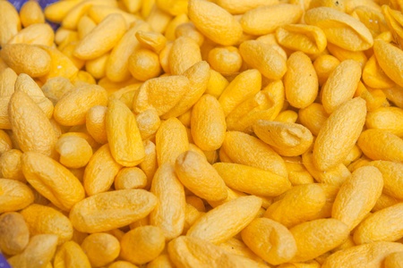 Silk Cocoons imageの写真素材