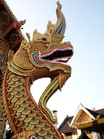 Dragon by a Buddhist Templeの写真素材