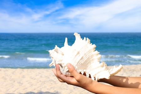 Boy  holding a conch shellの写真素材