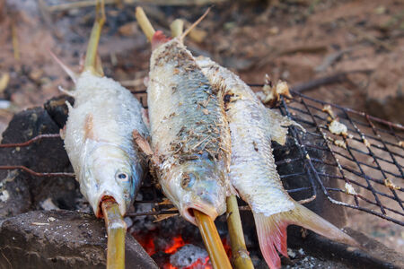 Asia roasted  fish on grill の写真素材