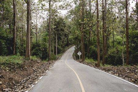 Empty road  in the countryside in thailandの写真素材