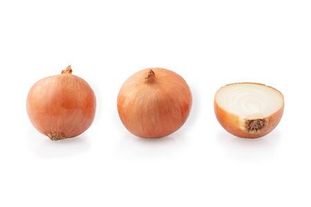 Onion isolated on a white backgroundの写真素材