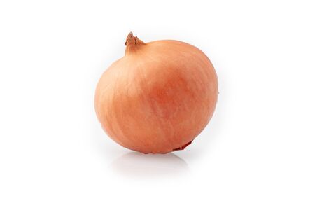 Onion isolated on a white backgroundの写真素材