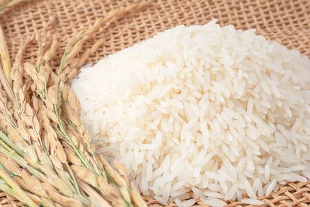 Long grain of rice and rice,White rice (Jasmine rice) thailandの写真素材