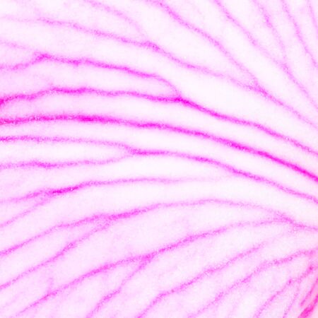 Abstract backgroundの写真素材