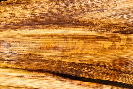 Abstract backgroundの写真素材