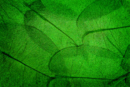 grunge backgroundの写真素材