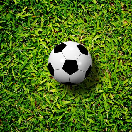soccer ball on soccer fieldの写真素材