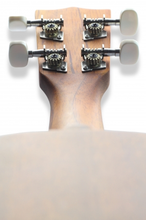 ukuleleの写真素材